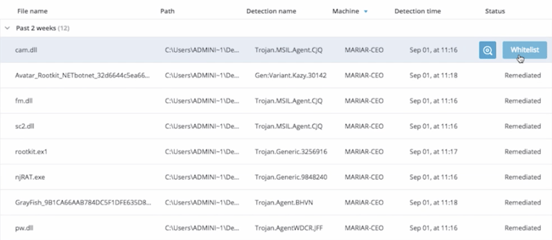 next-generation antivirus NGAV