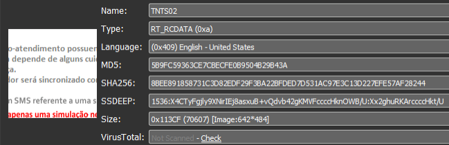 RT_RCDATA section