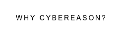 Why Cybereason?