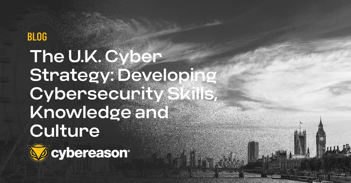 The U.K. Cyber Strategy: Developing Cybersecurity Skills, Knowledge and Culture