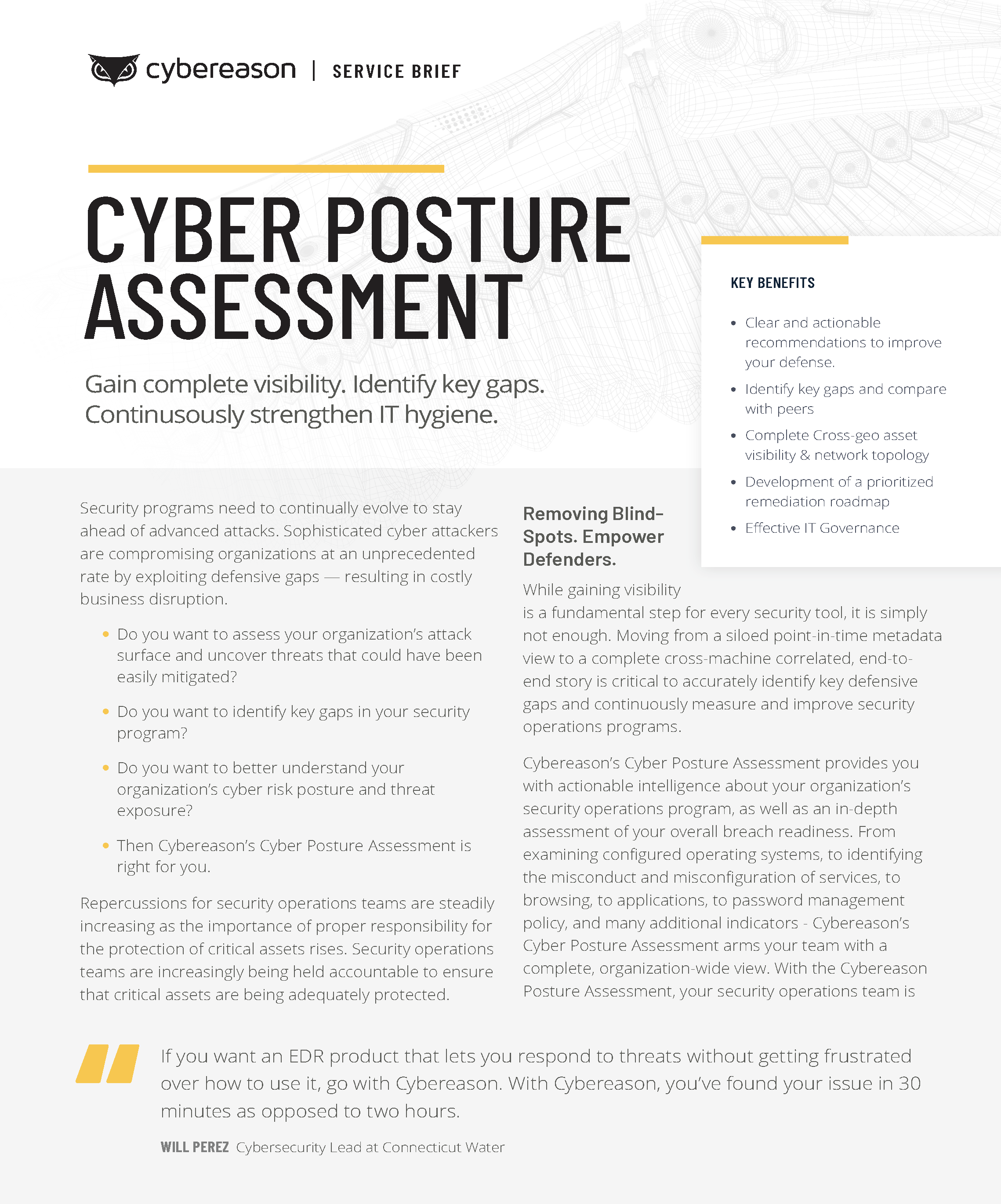 Cyber Posture Assessment Datasheet