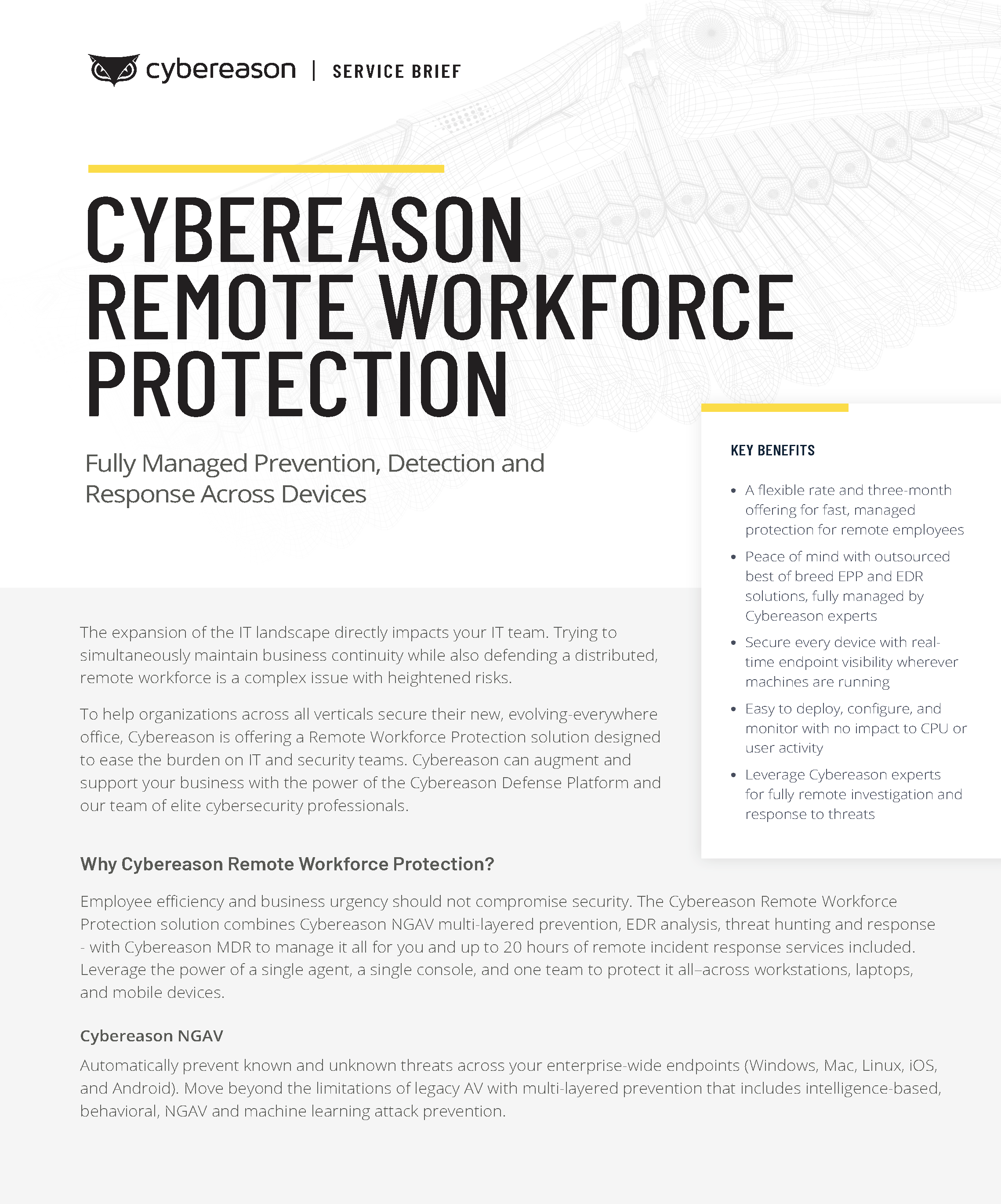 Remote Workforce Protection Datasheet