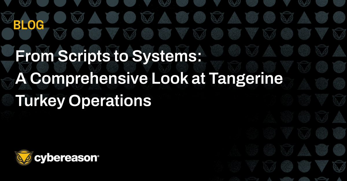 From Scripts to Systems: A Comprehensive Look at Tangerine Turkey Operations 