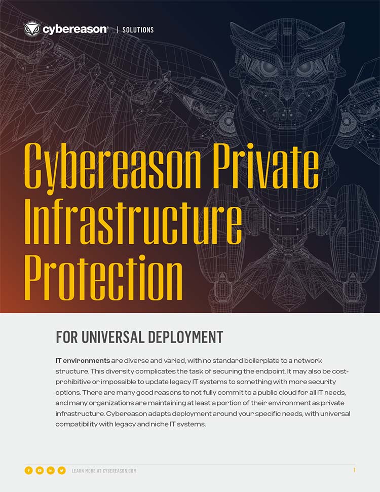 Private Infrastructure Protection Datasheet