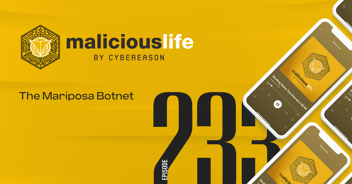 Malicious Life Podcast: The Mariposa Botnet