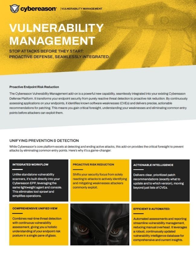Cybereason Vulnerability Management